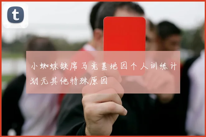 小蜘蛛缺席马竞基地因个人训练计划无其他特殊原因