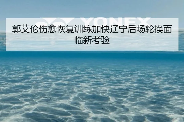 郭艾伦伤愈恢复训练加快辽宁后场轮换面临新考验
